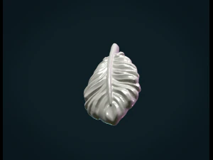 bird feather 3D Print Model