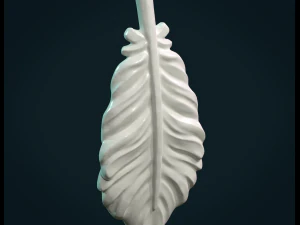 bird feather 3D Print Model