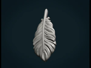 bird feather 3D Print Model