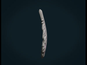 bird feather Model do druku 3D