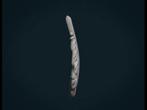 bird feather 3D Print Model
