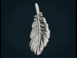 bird feather 3D Print Model