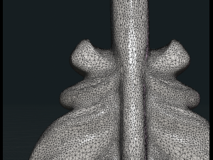 bird feather Model do druku 3D