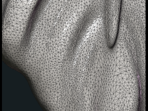 bird feather Model do druku 3D