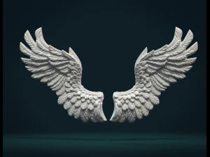 翅膀救济二号 3D 打印模型