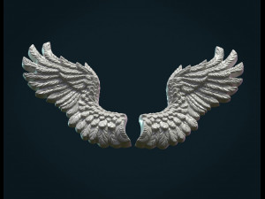 wings relief ii Model do druku 3D