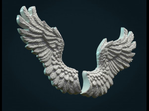 wings relief ii Model do druku 3D