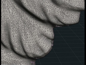 wings relief ii Model do druku 3D