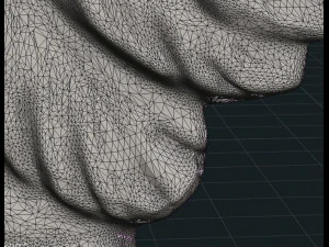 wings relief ii 3D Print Model