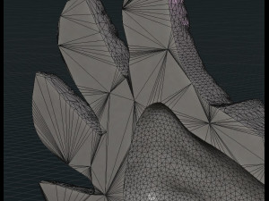 wings relief ii Model do druku 3D