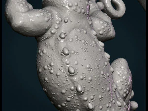 gecko 3D Print Model
