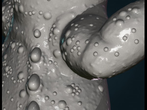 gecko 3D प्रिंट मॉडल