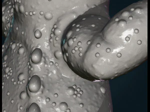 gecko 3D Print Model