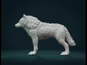 wolf iv 3D Print Model