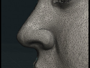crescent with face 3Dプリントモデル