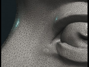 crescent relief 3D Baskı Modeli