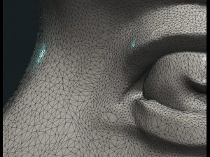 crescent relief 3D Print Model