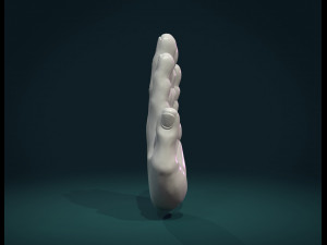 palm hand Modèles 3D en vedette