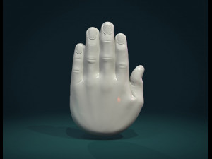 palm hand Modèles 3D en vedette