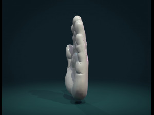 palm hand Modèles 3D en vedette
