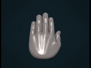 palm hand Modèles 3D en vedette