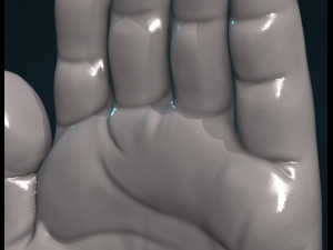 palm hand Modèles 3D en vedette