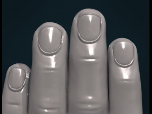 palm hand Modèles 3D en vedette