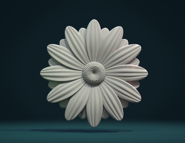 daisy 3D 打印模型 .c4d .max .obj .3ds .fbx .stl .blend 