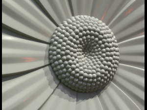 daisy 3D 打印模型