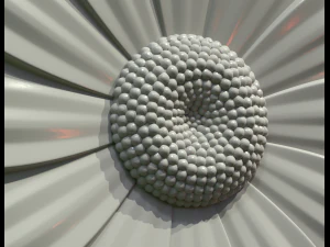 daisy 3D Print Model
