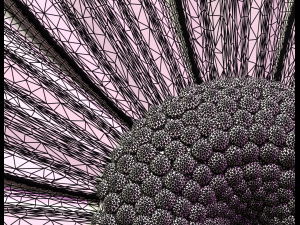daisy 3D 打印模型