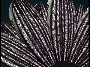 daisy 3D 打印模型