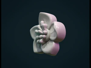 apple flower 3D Print Model
