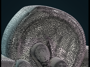 apple flower 3D 打印模型