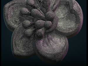 apple flower 3D 打印模型