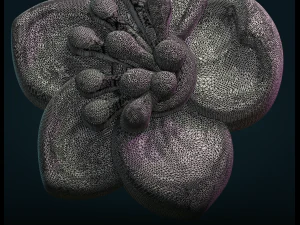 apple flower 3D Print Model