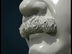 einstein bust 3D Print Model