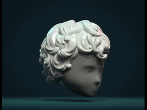 curly hair i 3D Принт Модель