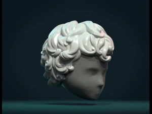 cabelo cacheado eu Modelo de Impressão 3D