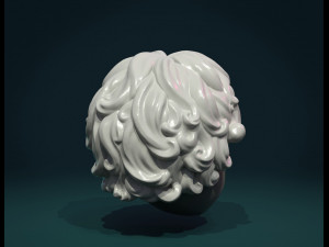curly hair i 3D Принт Модель