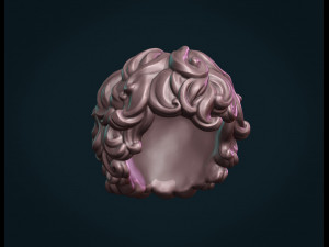 curly hair i 3D Принт Модель