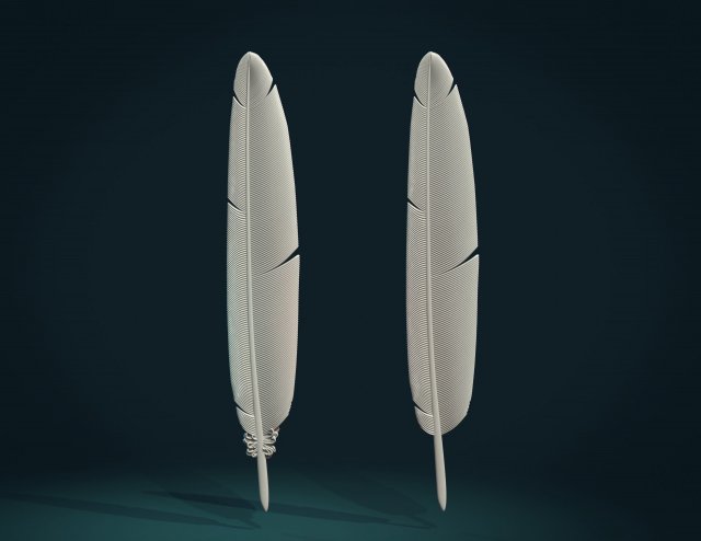 printable feather Model do druku 3D .c4d .max .obj .3ds .fbx .stl .blend 