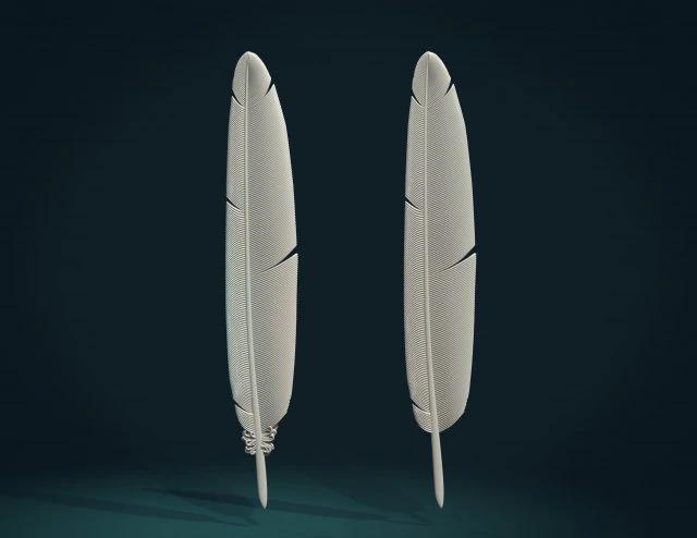 printable feather 3D Print Model .c4d .max .obj .3ds .fbx .stl .blend