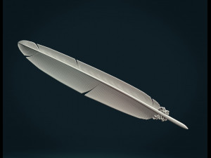 printable feather Model do druku 3D