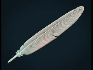 printable feather Model do druku 3D