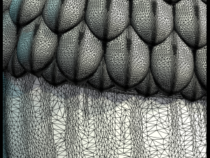 acorn relief 3D Baskı Modeli