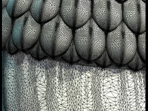 acorn relief 3D Print Model