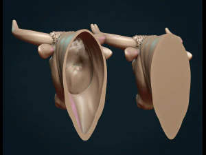 bull head 3D Print Model