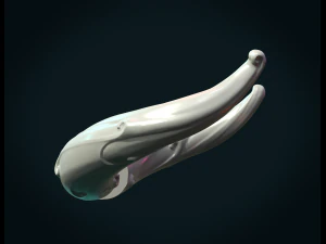 horns 3D Print Model