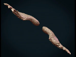 wings ii 3D Print Model